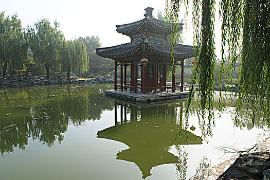 xs đong nai
