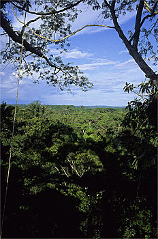 dự đoán đề hôm nay