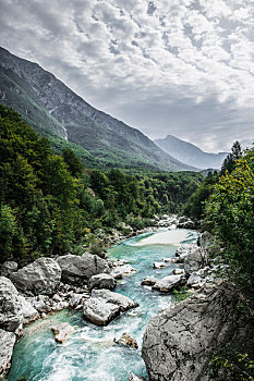 du doan kqxs rong bach kim