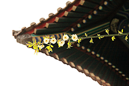 dự đoán xổ số đồng tháp hôm nay