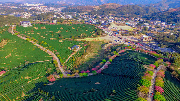 soi cau rong bach kim mb