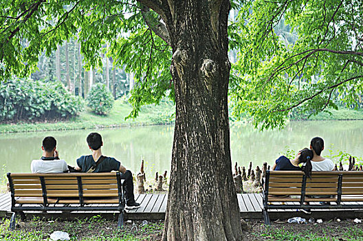 soi cầu lô đẹp hôm nay