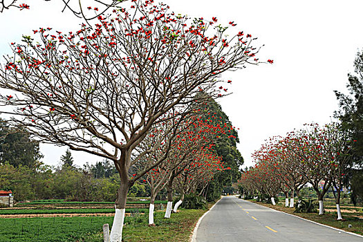 soi cau xsvl tai loc
