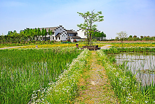 bạch thủ lô đề miền bắc hôm nay