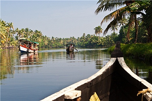 soi cau bach thu de