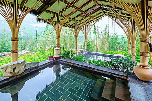 soi lo bạch thủ