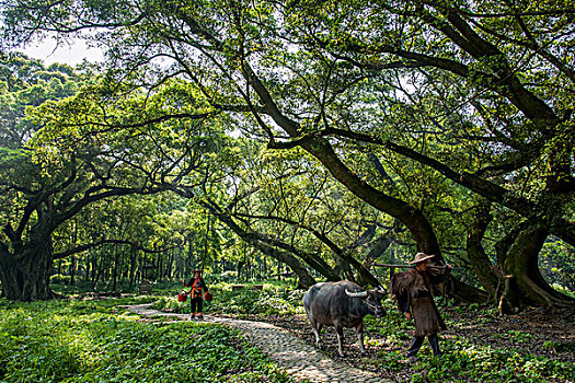 sổ kết quả xổ số