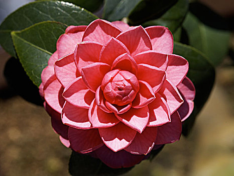 xsmn thứ 3