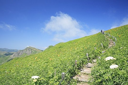 soicau xosomienbac