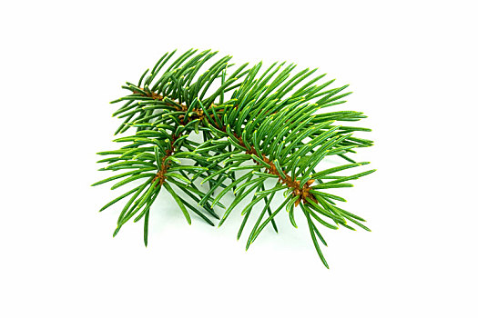 dự đoán xổ số đài phát miền nam