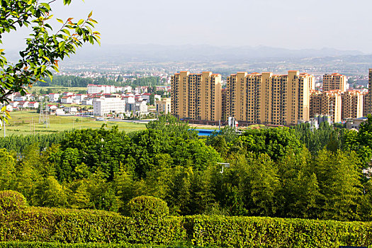 soi cau sieu chuan 888