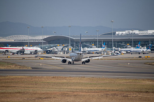 soi cau 888