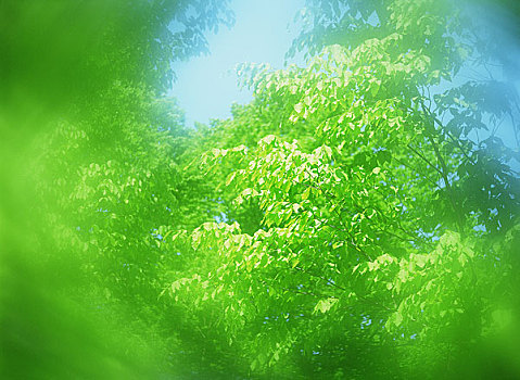 xổ số hcm