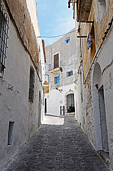 cau 247