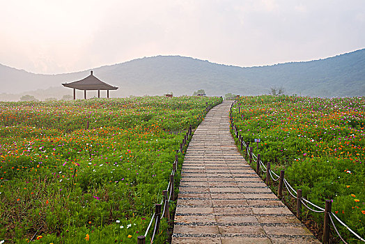 soi cầu đề miền bắc