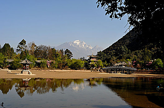 rong bach kim 88 99