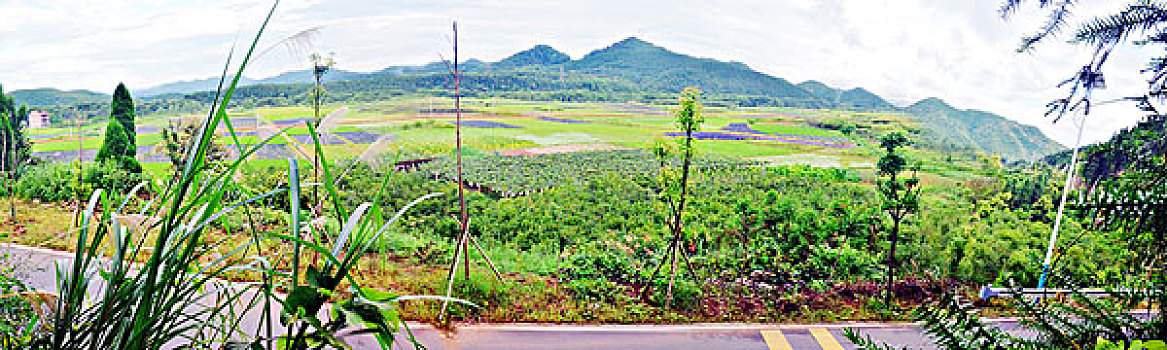 thống kê xổ số đồng tháp