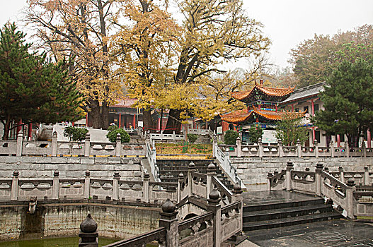xổ số miền nam hôm