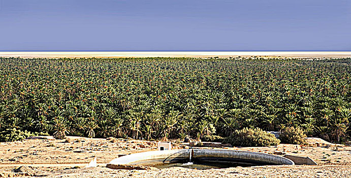 soi lô miễn phí
