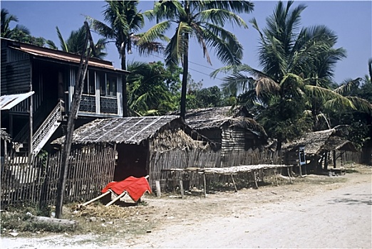 rong bach kim mb