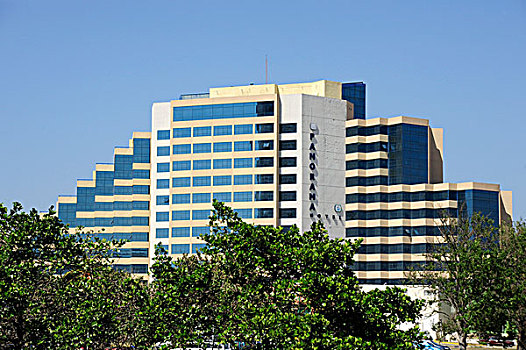 bạch thủ lô đề