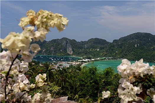 soi cau xsmb vua nha cai