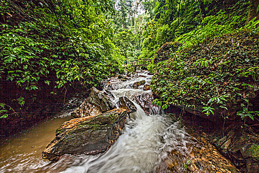 soi cau vinh log 568