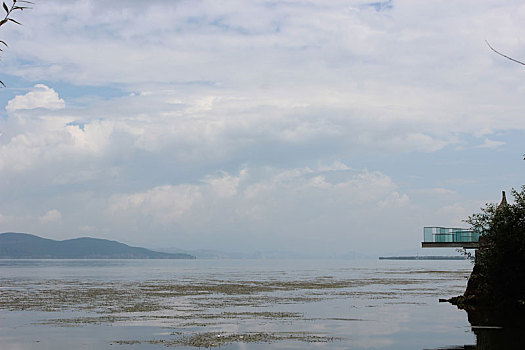 con lô đẹp hôm nay