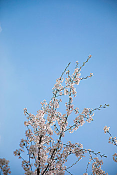 đánh đề trên mạng