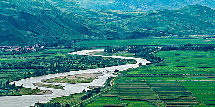 soi bạch thủ lô miễn phí