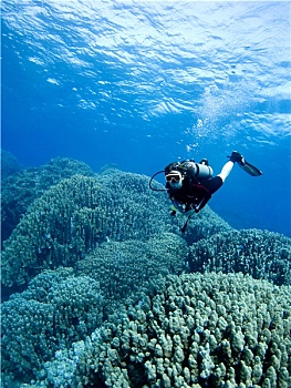 thống kê lô gan