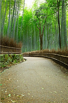 xs vĩnh long