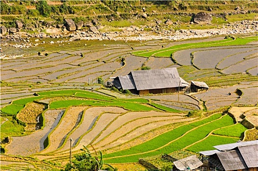 xsmb dự đoán