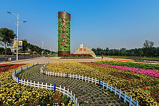bạch thủ lô miền bắc