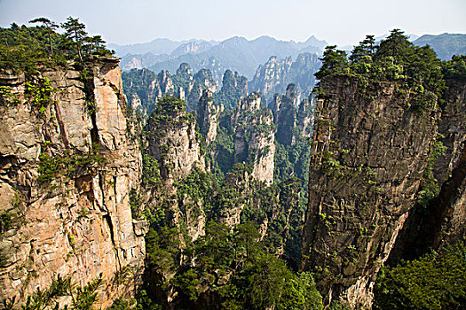 chốt so gio vang