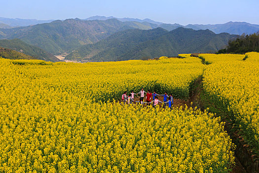 soi cầu giờ vàng