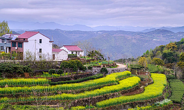 cầu vip
