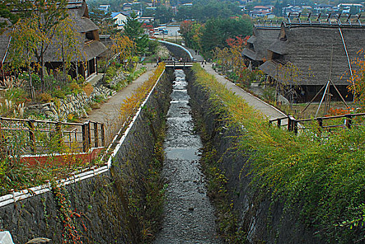 soi cau bach thu lo