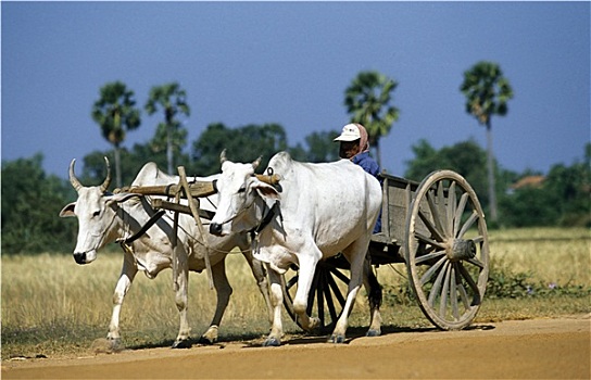 web lô đề