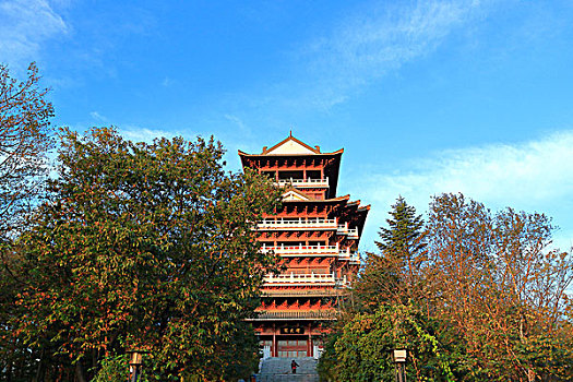 xs da lat