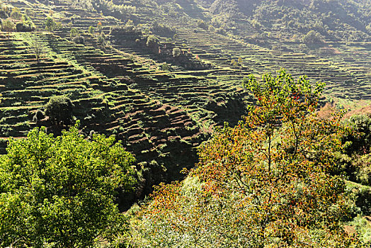 du doan xsmn trung thuong