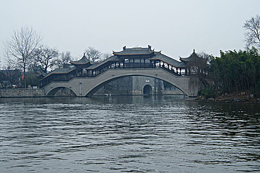 rong bach kim 888 giờ chốt vàng