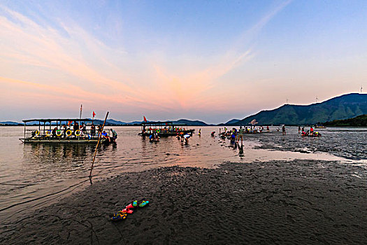 bach thu lo kep