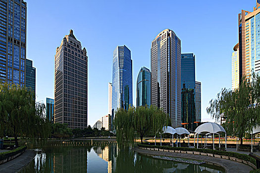 soi cau dau duoi