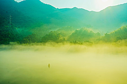 soi cầu tứ quý 7
