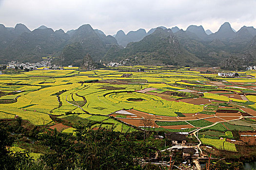dự đoán xổ số than tai