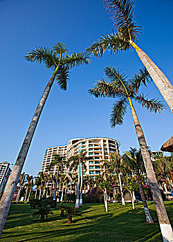 cầu số đề