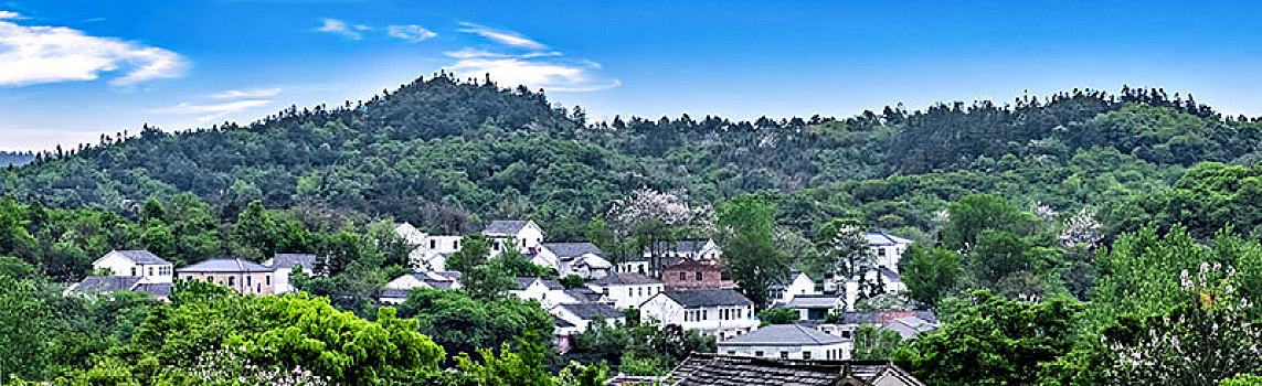 soi cau bach rong kim