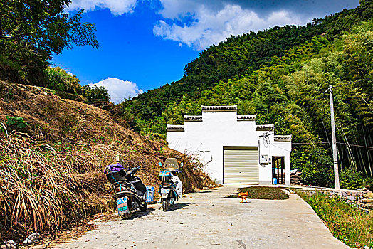 xổ số bạch kim