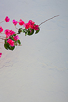 xo so thu nam